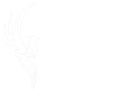 twele.co.za